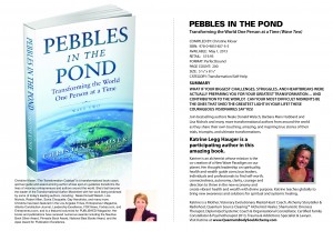 pebbles promo katrine 300x208 Celebrating My Best Selling Book A Rare Chance To Transform Your Life 
