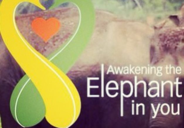 Awaken The Elephant In You